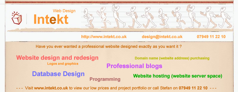Intekt - Professional Website Design